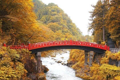 Nikko Heritage Private Tour With Guide From Tokyo