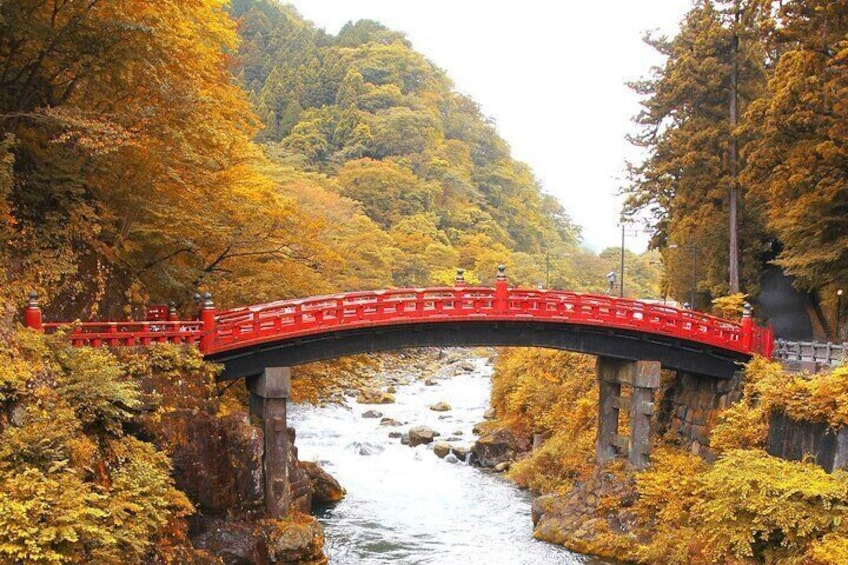 Nikko Heritage Private Tour With Guide From Tokyo 