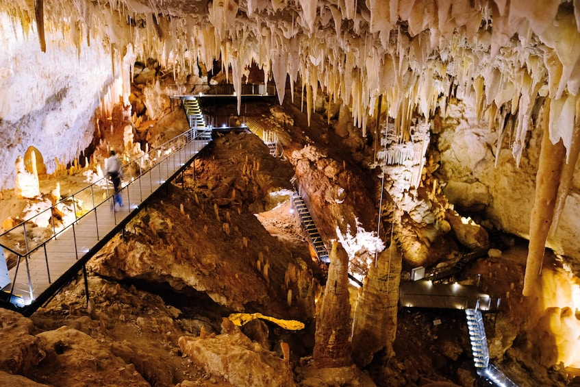 Jewel Cave Fully-guided Tour 