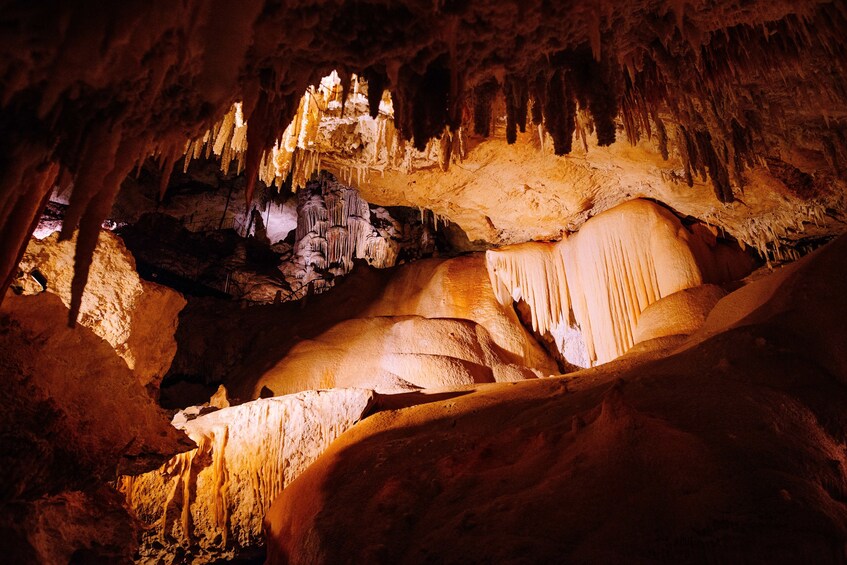 Jewel Cave Fully-guided Tour 