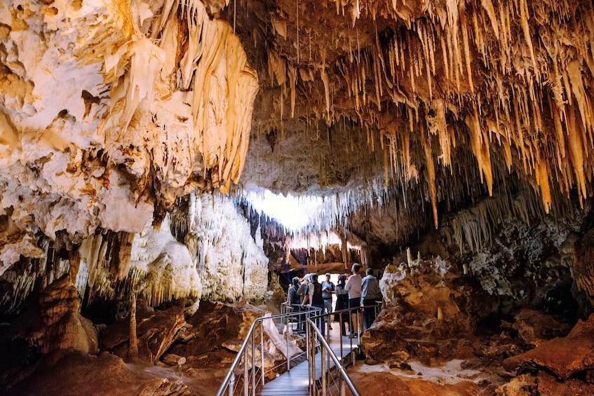 Jewel Cave Fully-guided Tour