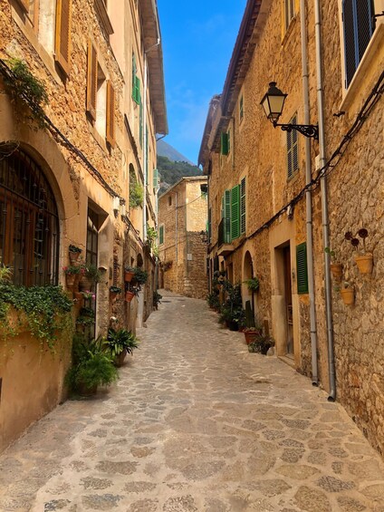 Mallorca: Valldemossa Half Day Tour