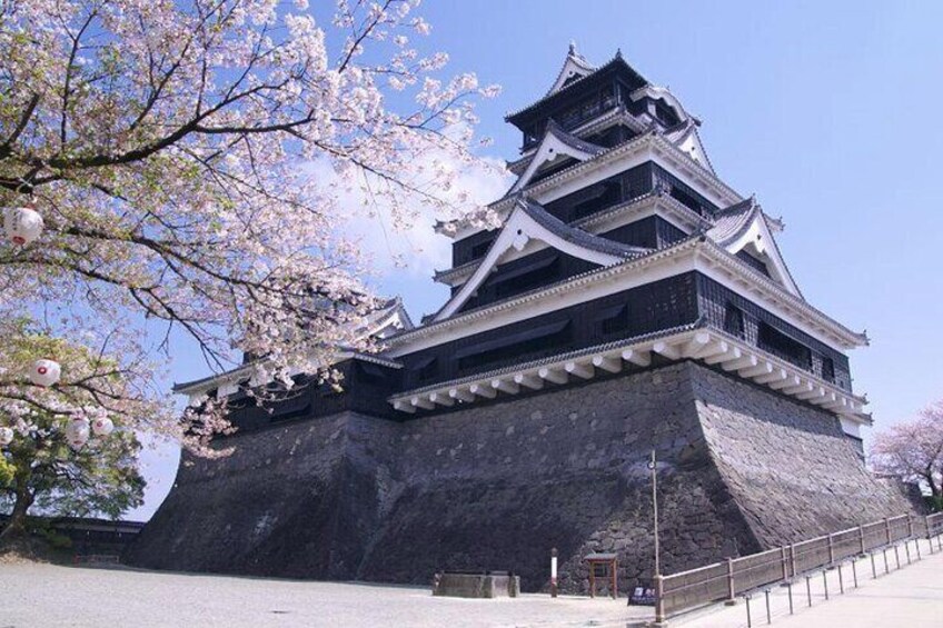 Kyushu Kumamoto & Aso Volcano Castle Day Tour