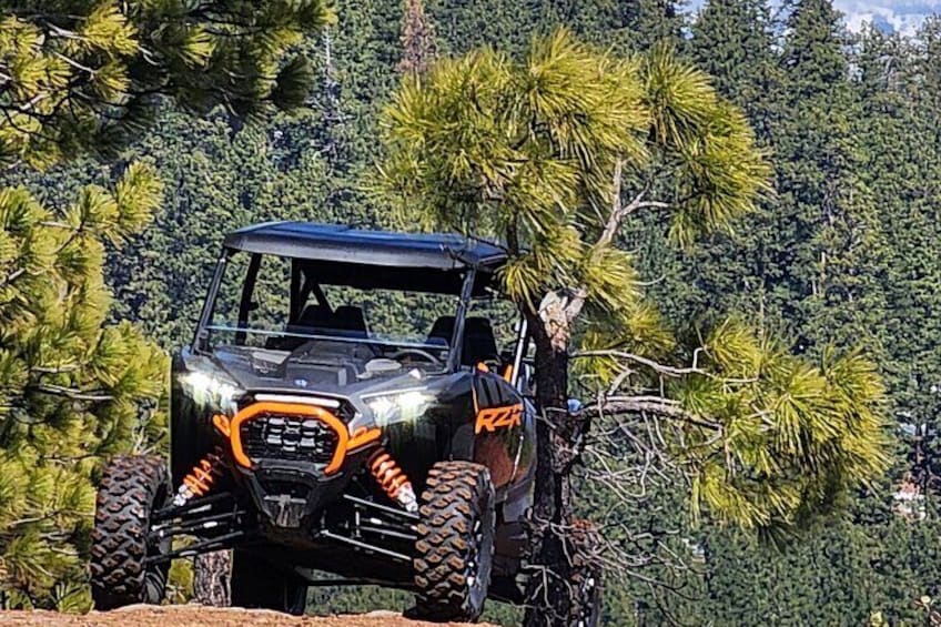 2 Hour High Cascades Scenic ATV Tour in Bend Oregon