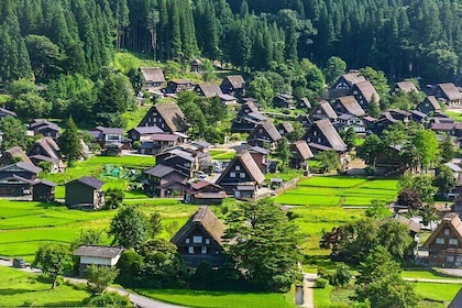 4 Days Central Japan Tour from Nagano to Kanazawa