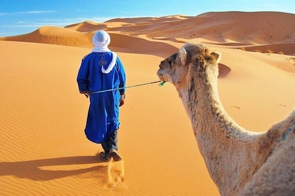 4 Days Desert Tour from Marrakech to Fes