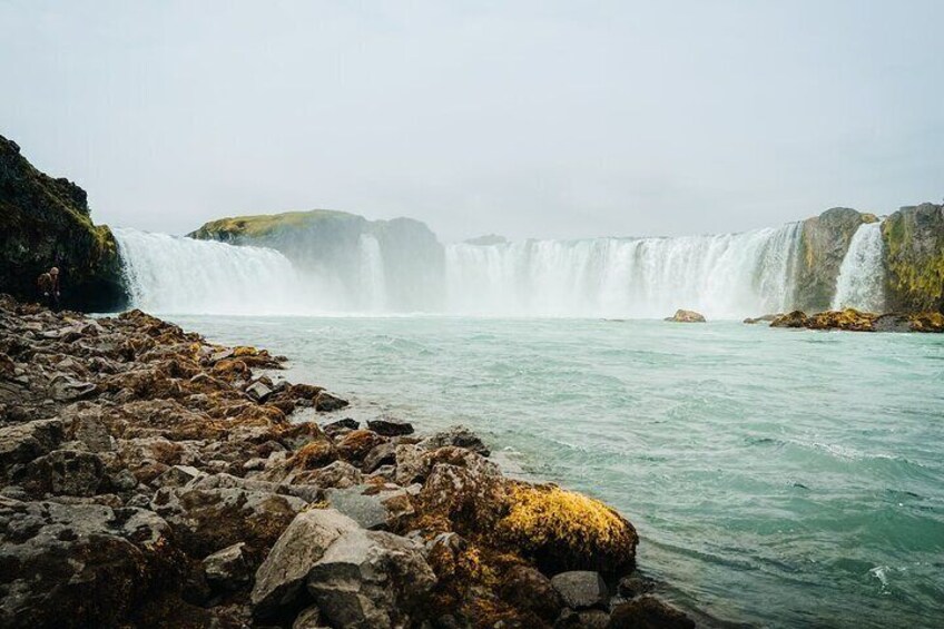 Cruise Tour Godafoss and Myvatn Lake and Dettifoss Small Group