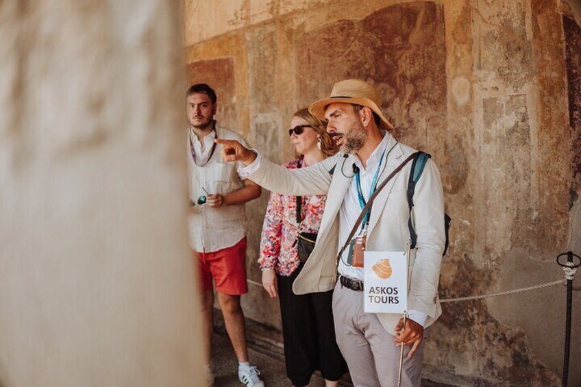 Pompeii and Oplontis: Small Group Tour with an Archaeologist