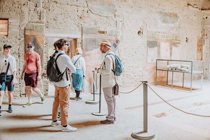 Pompeii and Oplontis: Small Group Tour with an Archaeologist