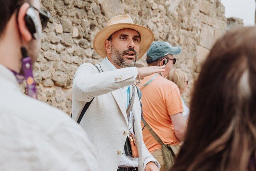 Pompeii and Oplontis: Small Group Tour with an Archaeologist