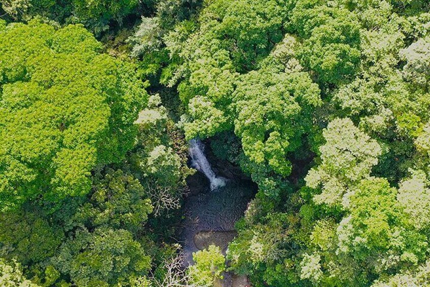 Thrilling Panama Jungle ATV Buggy Adventure from Panama City