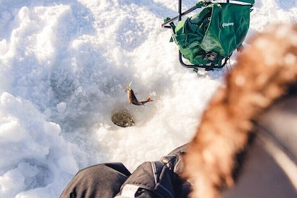 Arctic Ice Fishing By Snowshoeing Trip