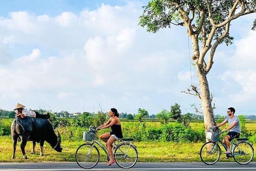 Scenic Hoi An: Private Bike Journey Through the Countryside