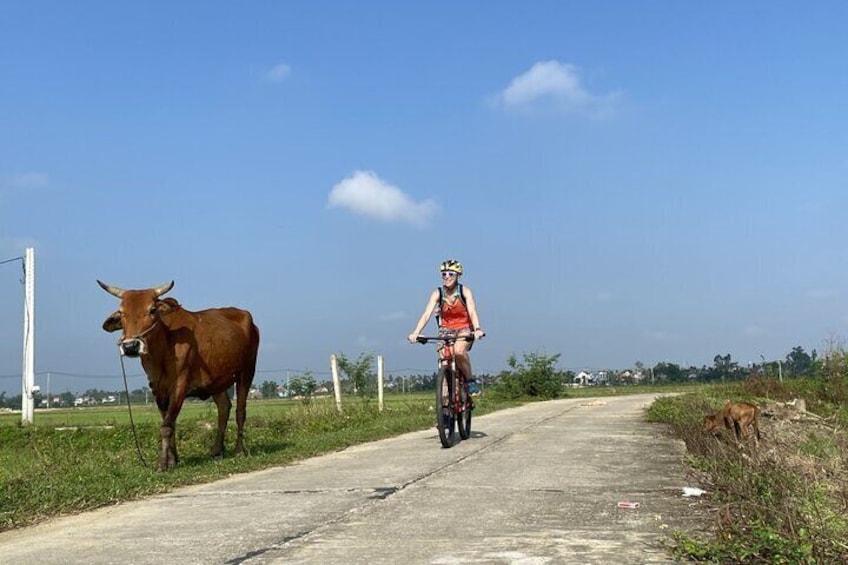 Scenic Hoi An: Private Bike Journey Through the Countryside