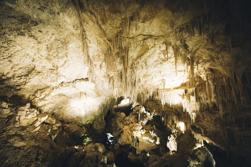 Mammoth Cave Self-guided Audio Tour