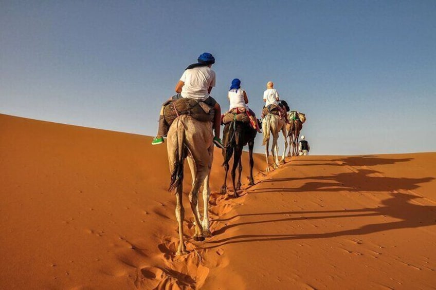 Camel Riding 