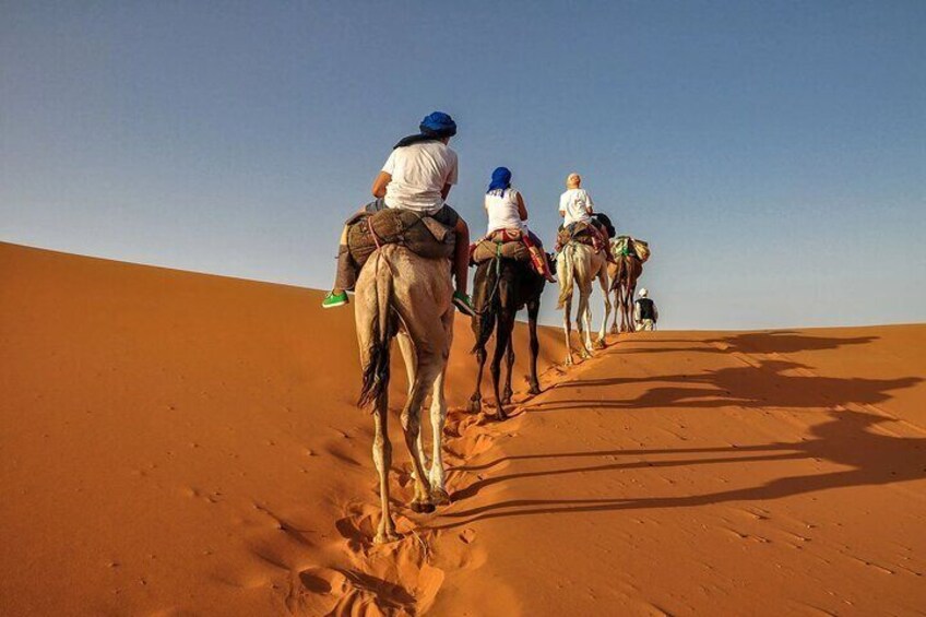 Camel Riding