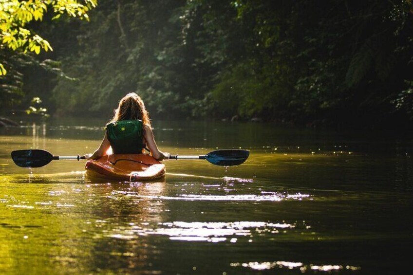 Amazing 1Day Tour Northern Island & kayak