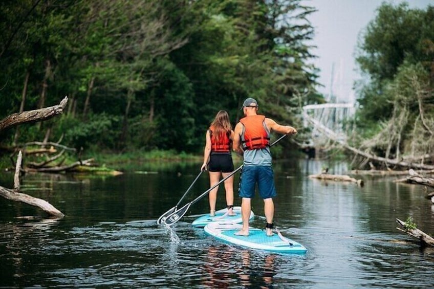 Kayak Eco Tour in Toronto Islands Canada