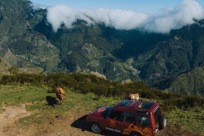 Full-Day Off-Road Tour in East Madeira with Pick-up