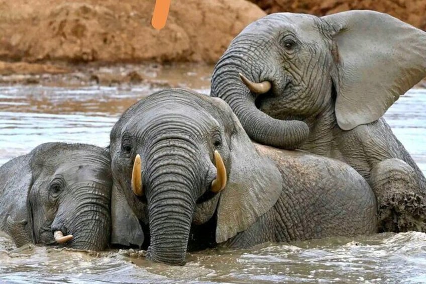 Mud bath