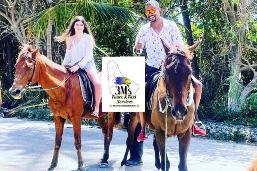 Mini Day Private Customized Island Tours