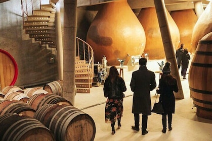 Tour privado de 3 bodegas en Casablanca desde Santiago