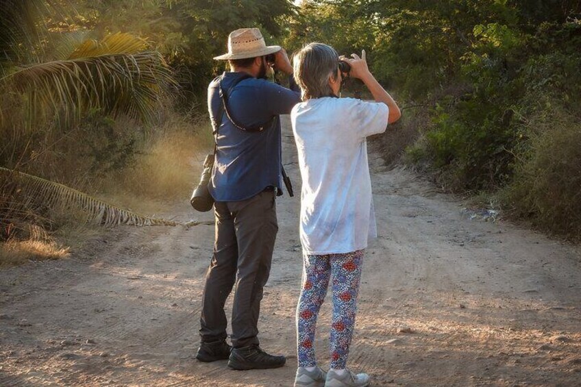 Bird watching - eco-cultural tour in Copala.