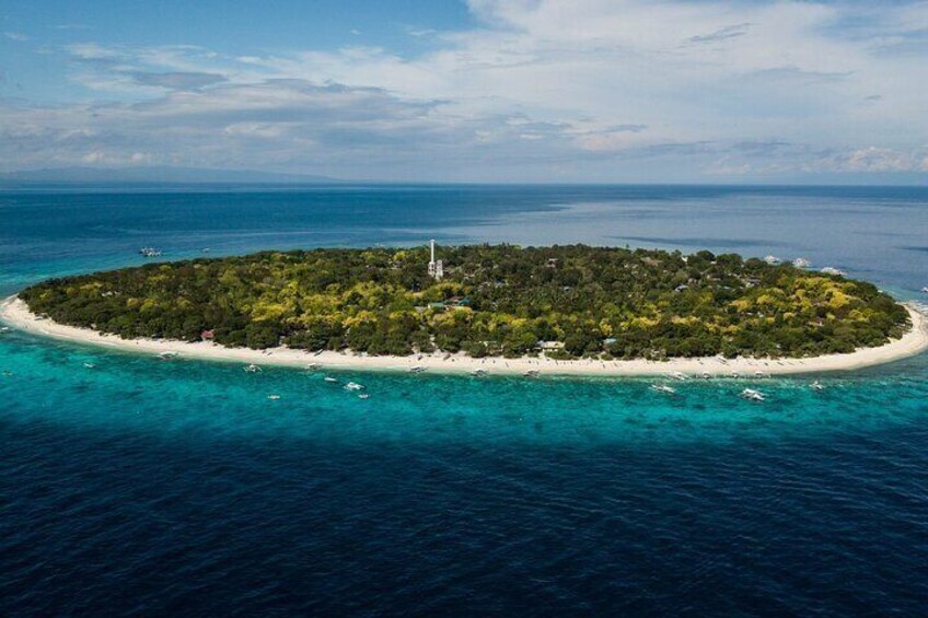 Bohol Balicasag Island Hopping with Dolphin Watching and Lunch