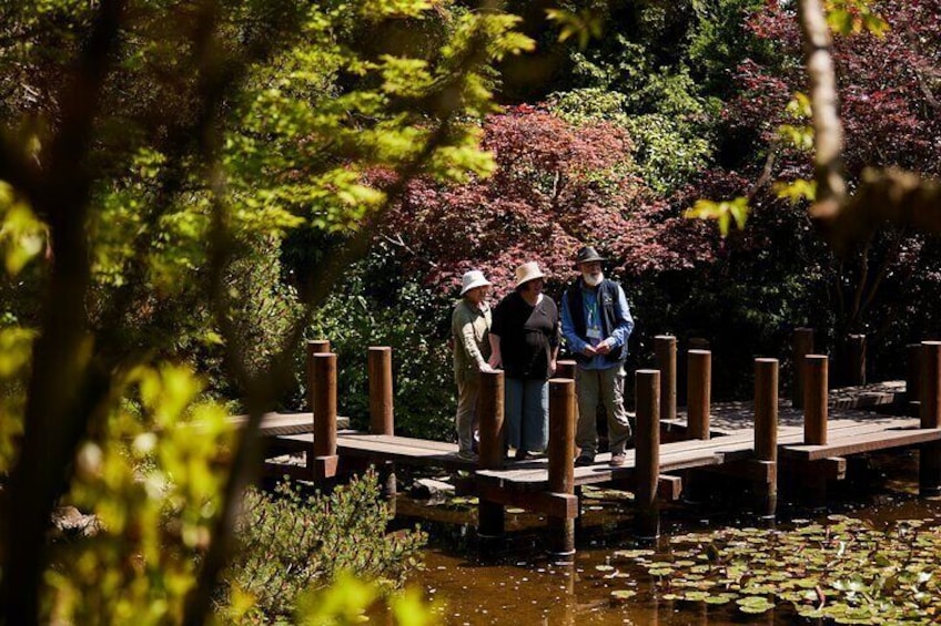 Royal Tasmania Botanic Gardens one of the stops where you can walk around