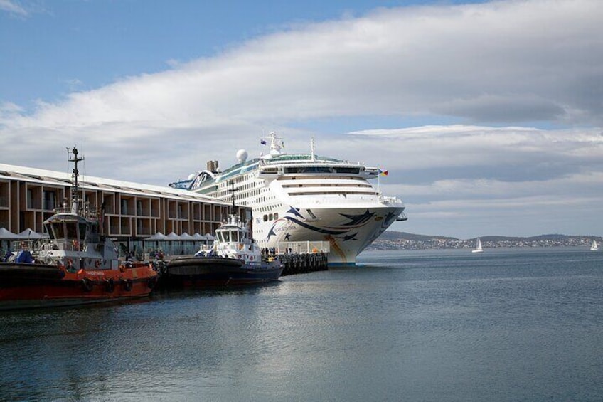 Hobart Attractions Bus meets your cruise ship