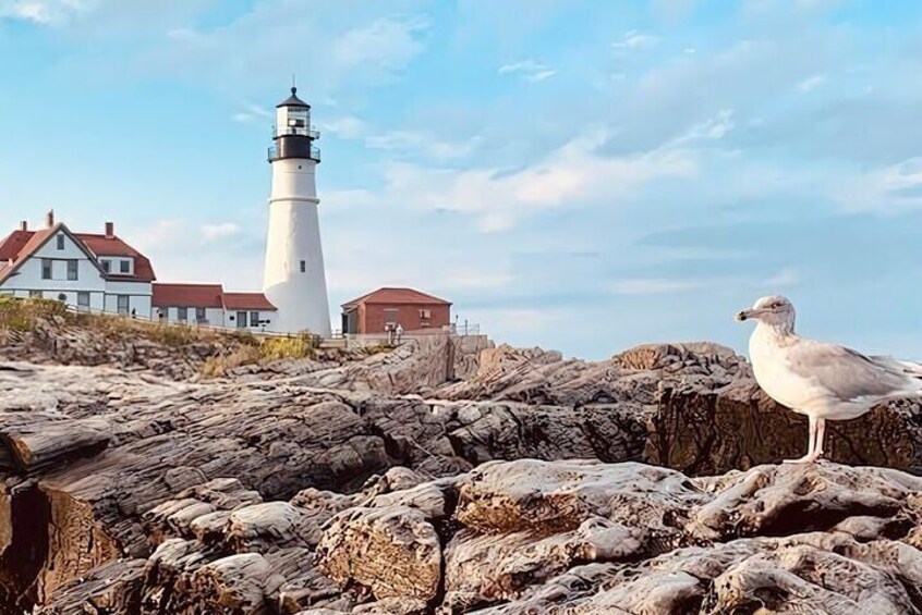 Lighthouse to Lagers Tour with Craft Beer and Lobster Rolls