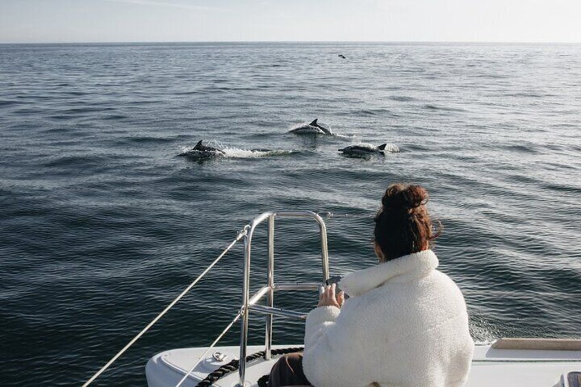 4-Hour Catamaran Private Cruise