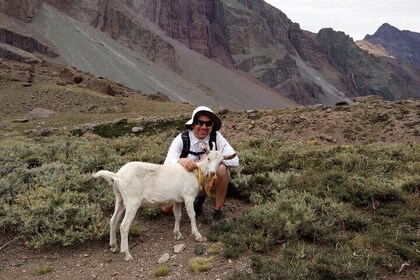 Private Guided Tour in Maipo Canyon with Winery