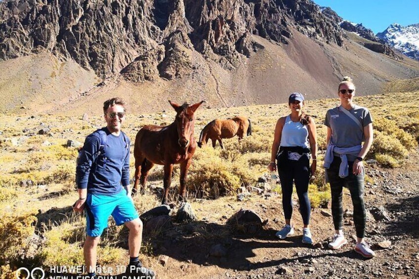 Private Guided Tour in Maipo Canyon with Winery