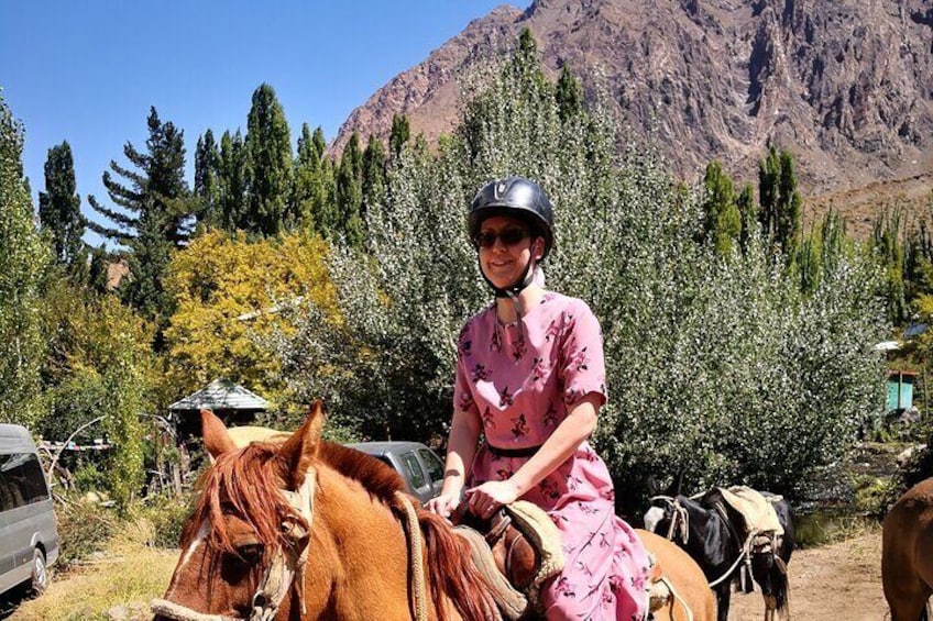 Private Guided Tour in Maipo Canyon with Winery