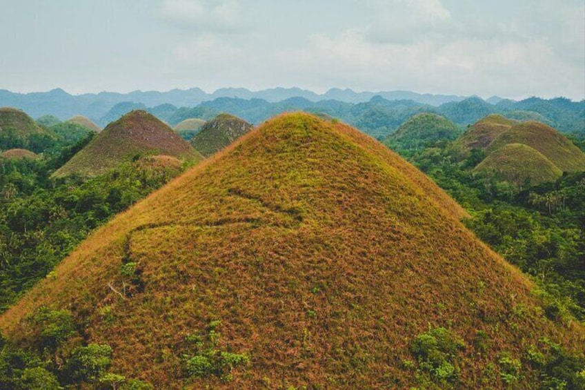 Bohol Country Side Tour - Private w/ Lunch