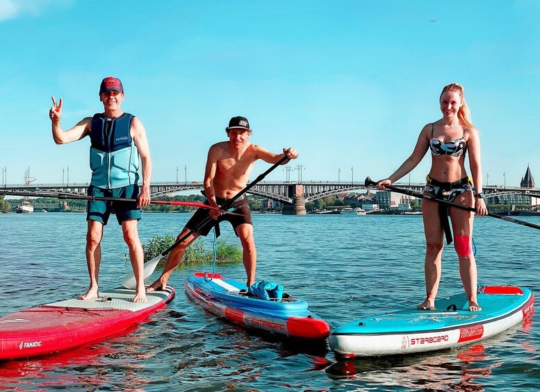 Picture 3 for Activity Mainz: Stand Up Paddling Tour on the Rhine River