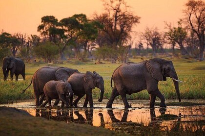 Day-Tour in Amboseli National Park