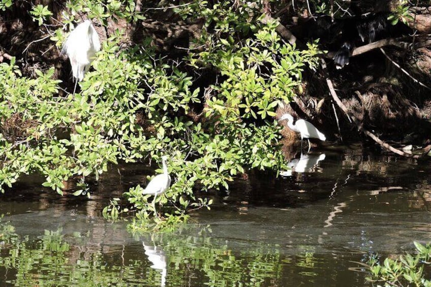 Private National Wildlife Refuge Eco Trip