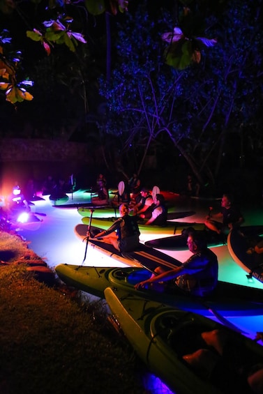 Paddleboarders in a group at night