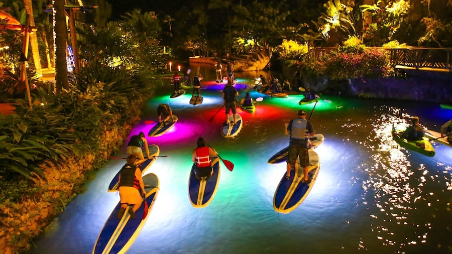 Colorfully illuminated pool at night with paddleboarders