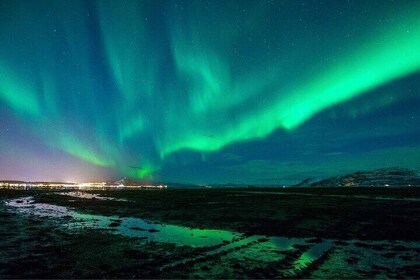 Northern Lights Hunt Adventure on the Alta Fjord by Heated Boat