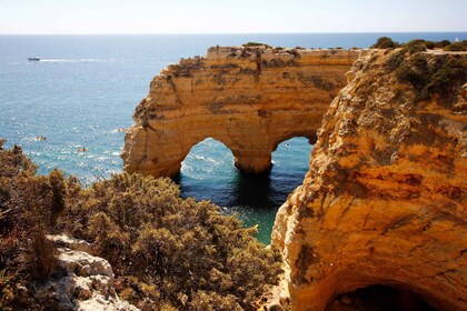 Depuis Albufeira : Benagil et Carvoeiro excursion