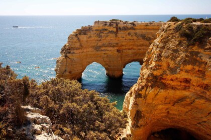 Depuis Albufeira : Benagil et Carvoeiro excursion