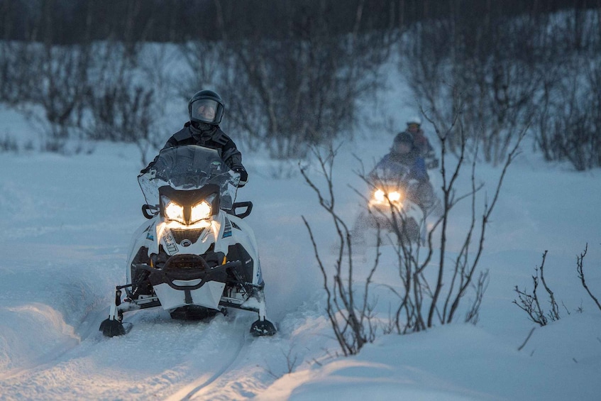 Picture 4 for Activity Snowmobile Adventure Abisko (Shared)