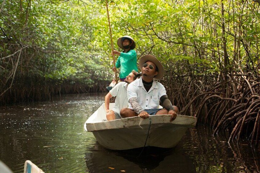 Mangrove Reforestation around the Nusa Islands