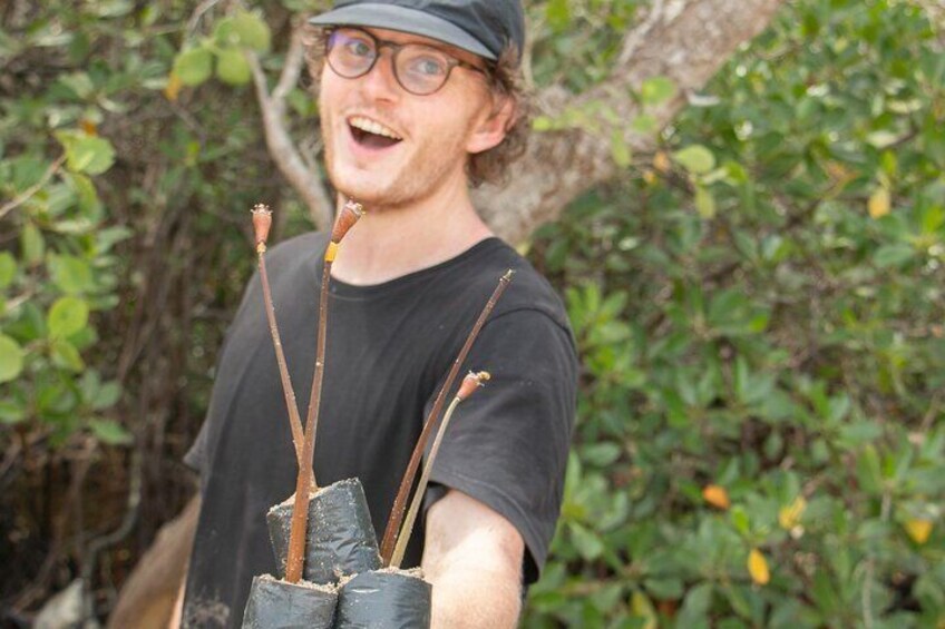 Mangrove Reforestation around the Nusa Islands