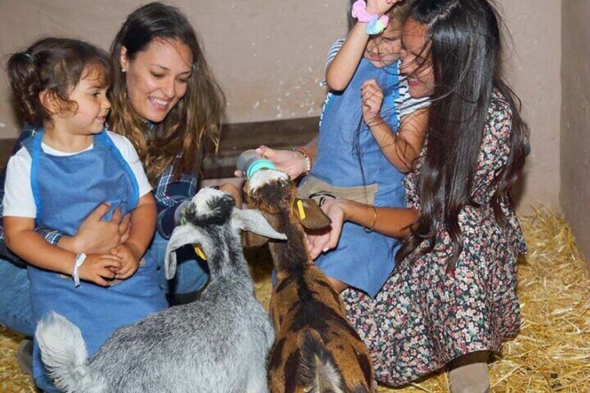 A day on the farm (La Jaira de Ana)