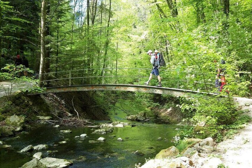 A very beautiful section of the Tobelweg.